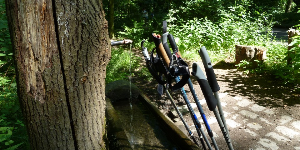 Nordic Walking Nordic Walking